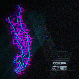Immortan - Subcutaneous Circuits album art